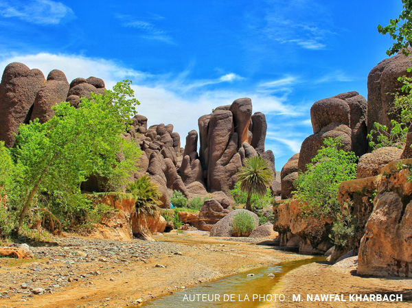 Les gorges de tislit