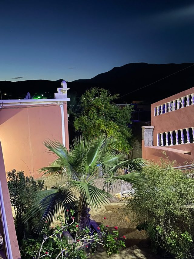 Le jardin de l'auberge à la nuit tombée, avec son palmier, devant les montagnes du Siroua