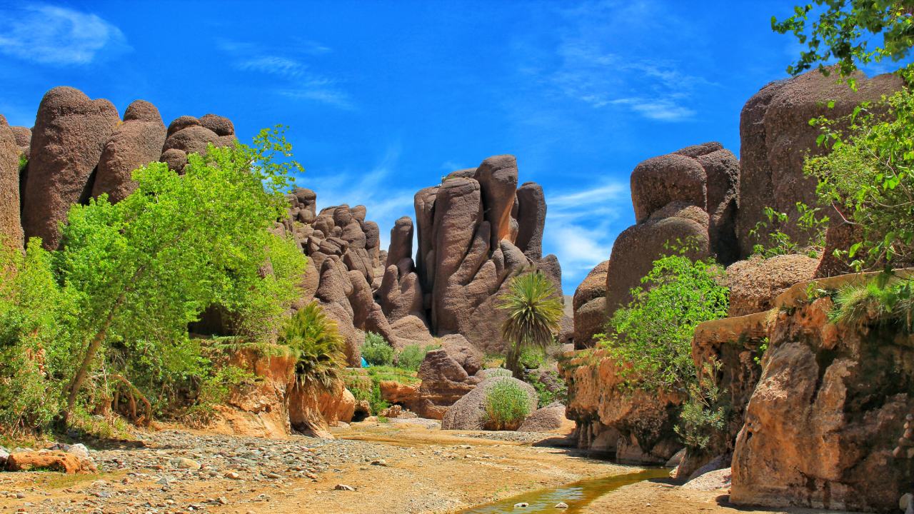 Les gorges de Tislit près de Taliouine : grands rochers arrondis, palmier et oued bordé d'arbres